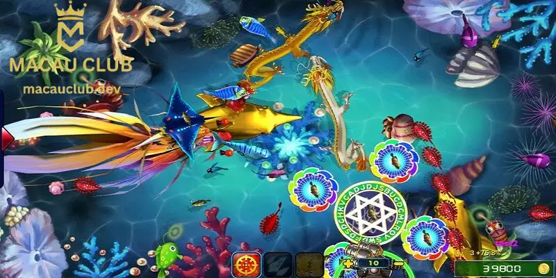 Bắn cá ria mép, tích tiểu thành đại khi chơi game bắn cá ăn xu tại Macau Club