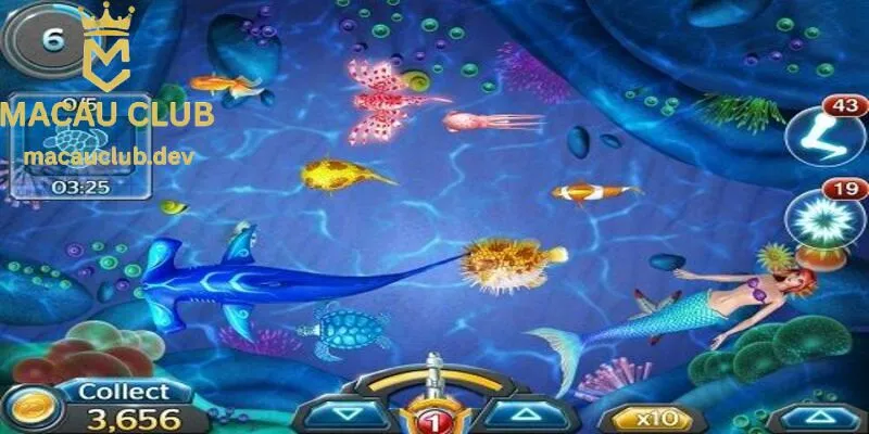 Cách bắn tăng đạn sẽ khiến tiêu diệt được nhiều loại cá cùng một lúc