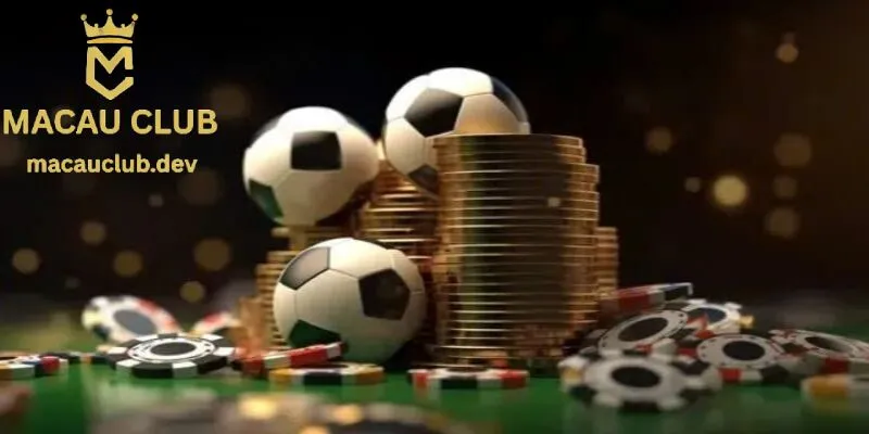 Điều khoản điều kiện là một văn bản pháp lý mà người chơi cần đồng ý trước khi truy cập Điều khoản điều kiện là một văn bản pháp lý mà người chơi cần đồng ý trước khi truy cập