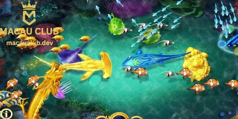 Hiểu rõ luật chơi bắn cá sẽ giúp bạn làm chủ ván cược