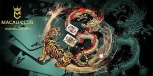 Mẹo Chơi Rồng Hổ Dễ Thắng Từ Các Lão Làng Macau Club