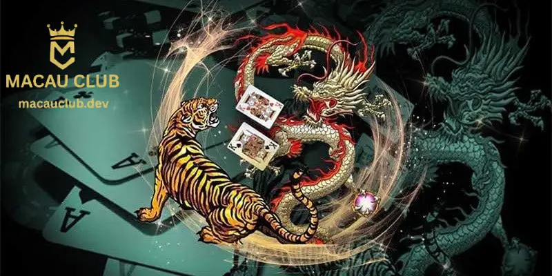 Mẹo Chơi Rồng Hổ Dễ Thắng Từ Các Lão Làng Macau Club