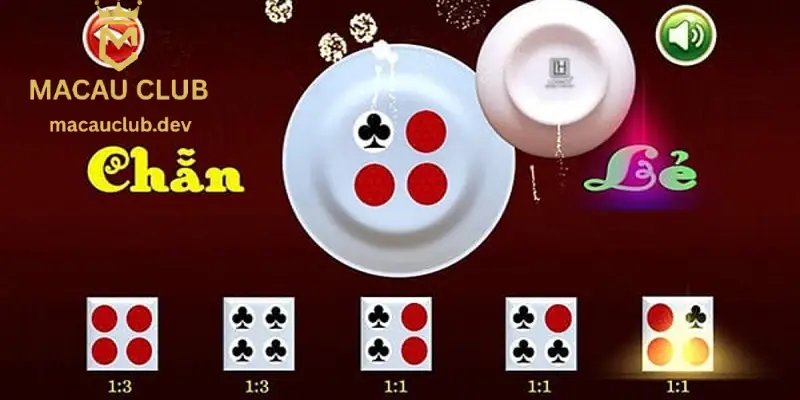 Người chơi xóc đĩa giỏi phải nắm chắc các dạng cầu khác nhau