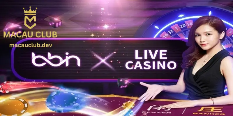 Sảnh BBIN Tại Macau Club: Trải Nghiệm Live Casino Đẳng Cấp